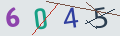 verifycode